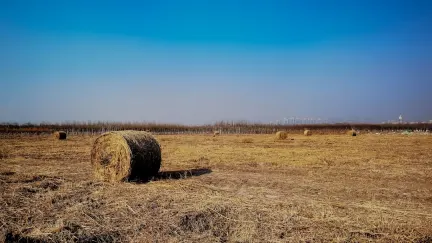 Casino Slot Shack Aip Soghluaiste